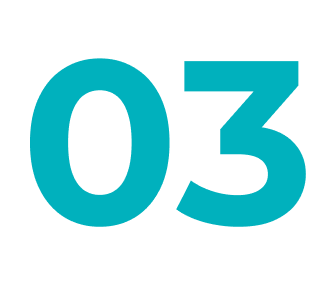 03